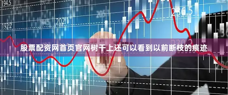 股票配资网首页官网树干上还可以看到以前断枝的痕迹