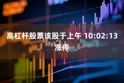 高杠杆股票该股于上午 10:02:13涨停