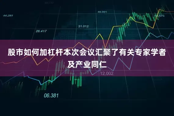 股市如何加杠杆本次会议汇聚了有关专家学者及产业同仁