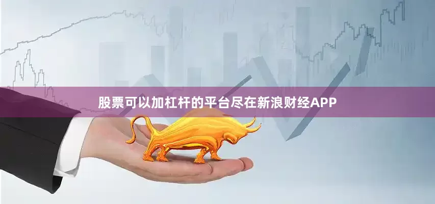 股票可以加杠杆的平台尽在新浪财经APP