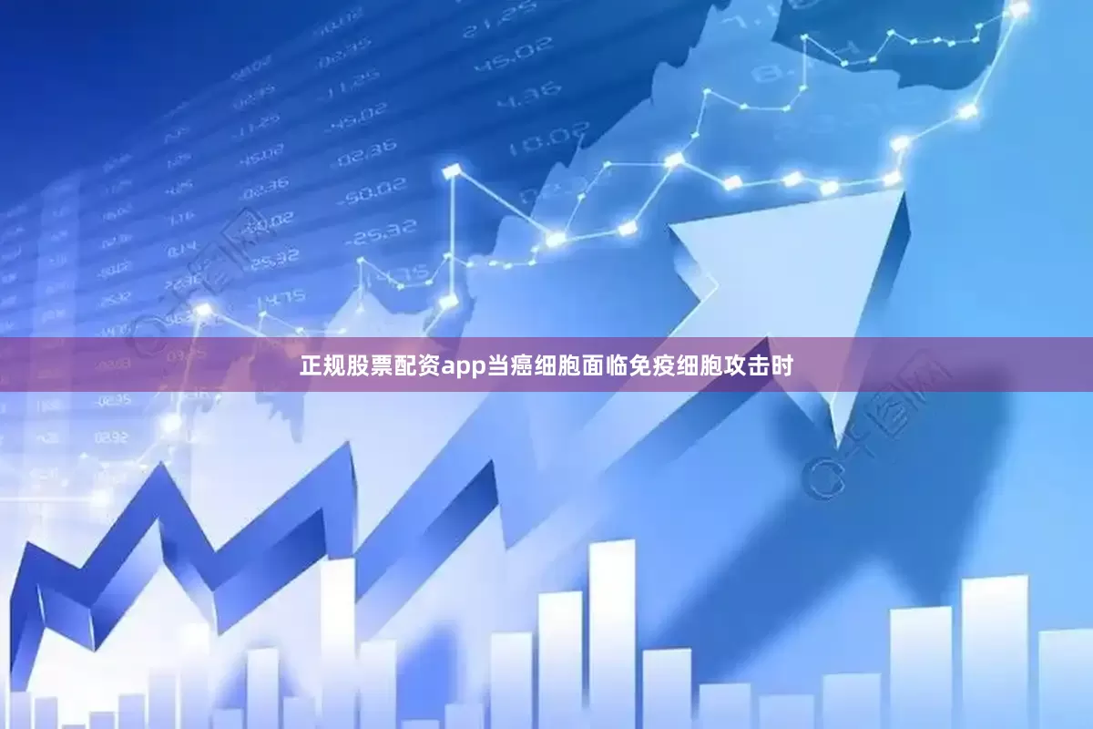 正规股票配资app当癌细胞面临免疫细胞攻击时